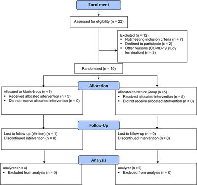 Autonomic nervous system markers of music-elicited analgesia in people with fibromyalgia: A double-blind randomized pilot study